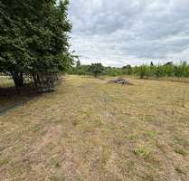 Grundstück in Lohr am Main 33.000,00 € 3193 m²