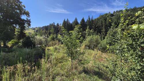 Foto - Grundstück zu verkaufen in Spiegelberg 150.000,00 € 1261 m²