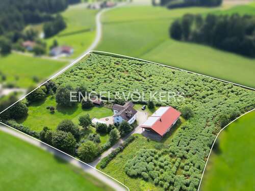 Foto - Haus zum Kaufen in Wiesenfelden 649.000,00 € 264 m²