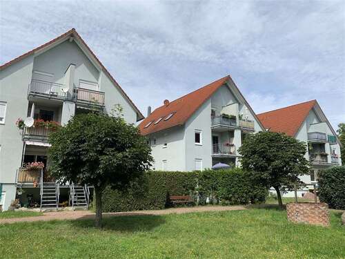 Foto - Wohnung zum Mieten in Zwochau b Delitzsch 699,00 € 68.62 m²