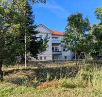 Wohnung zum Mieten in Gröbers 295,00 € 32 m²