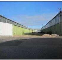 Halle in Oranienburg 1.600,00 € 320 m²