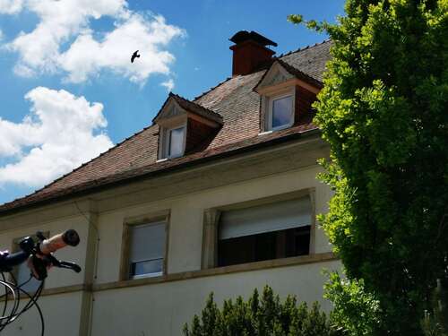 Foto - Haus zum Kaufen in Wörrstadt 499.000,00 € 220 m²