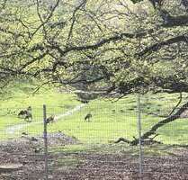 Wohnung zum Mieten in Bad Harzburg 777,00 € 84 m²