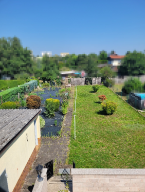 Foto - Grundstück zu verkaufen in Dreieich 649.000,00 € 803 m²