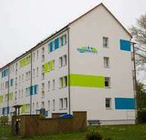 Wohnung zum Mieten in Freiberg 369,00 € 47.14 m²