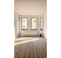 Wohnung zum Mieten in Nürnberg 409,00 € 13.5 m² Wohnung zum Mieten in Nürnberg 409,00 € 13.5 m²