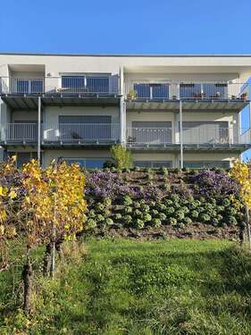 Foto - Wohnung zum Mieten in Bad Bellingen 1.280,00 € 73.69 m²