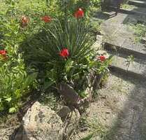 Haus zum Kaufen in Niedernhausen-Niederseelbach 450.000,00 € 314 m²