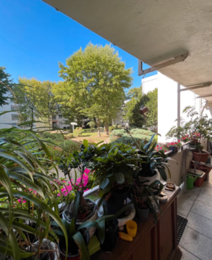 Foto - Wohnung zum Kaufen in Bergheim 129.000,00 € 96 m²