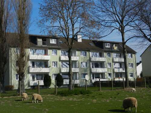 Foto - Wohnung zum Mieten in Werl 570,00 € 80 m²