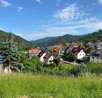 Grundstück zu verkaufen in Forbach Langenbrand 80.000,00 € 578 m² - Forbach / Langenbrand