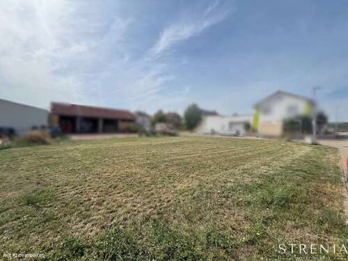 Foto - Grundstück zu verkaufen in Flonheim 159.000,00 € 512 m²