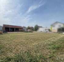 Grundstück zu verkaufen in Flonheim 159.000,00 € 512 m²