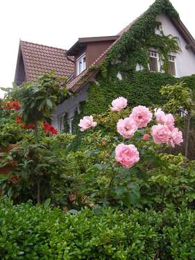 Foto - Spezialgewerbe in Solingen 1.980.000,00 € 700 m²