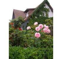 Spezialgewerbe in Solingen 1.980.000,00 € 700 m²