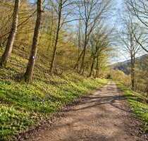 Grundstück zu verkaufen in Dausenau 89.700,00 € 972 m²