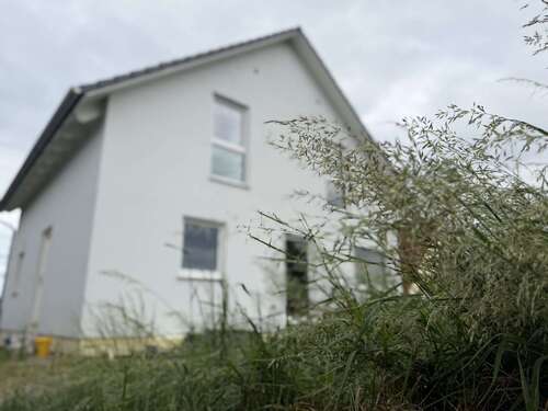 Foto - Haus zum Kaufen in Nessetal 339.000,00 € 114.39 m²