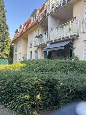 Foto - Wohnung zum Mieten in Dresden 350,00 € 37.85 m²