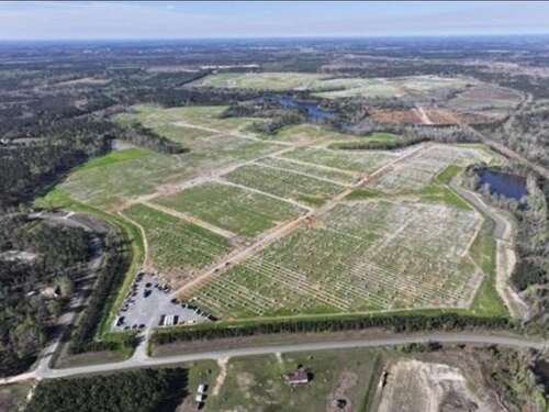 Foto - Grundstück in Nürnberg 990.000,00 € 200000 m²