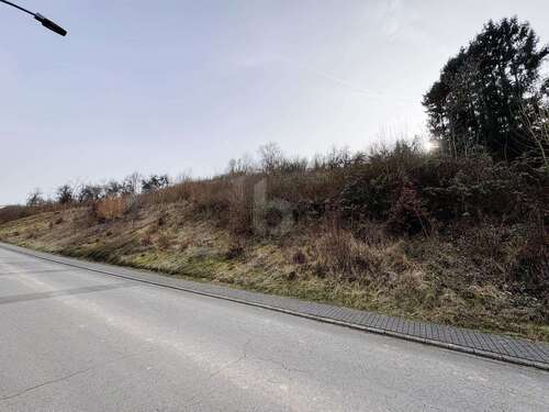 Foto - Grundstück zu verkaufen in Welschbillig 173.000,00 € 1945 m²