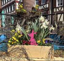 Wohnung zum Mieten in Calw 1.090,00 € 80 m²