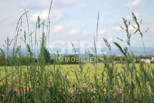 Foto - Grundstück zu verkaufen in Mariaposching 93.528,00 € 6928 m²