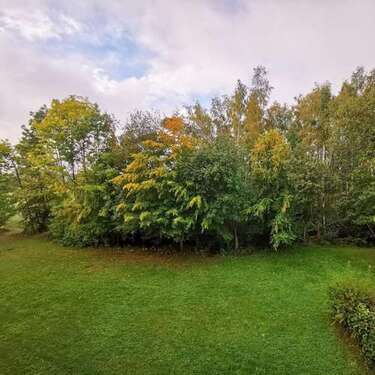 Foto - Wohnung zum Mieten in Freiberg 412,00 € 54.89 m²