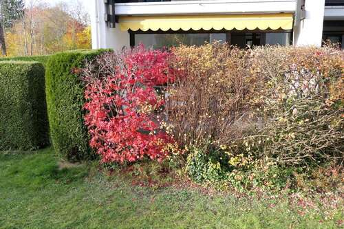 Foto - Wohnung zum Kaufen in Bad Tölz 305.000,00 € 58.88 m²