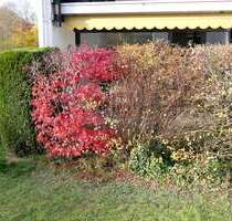 Wohnung zum Kaufen in Bad Tölz 305.000,00 € 58.88 m²