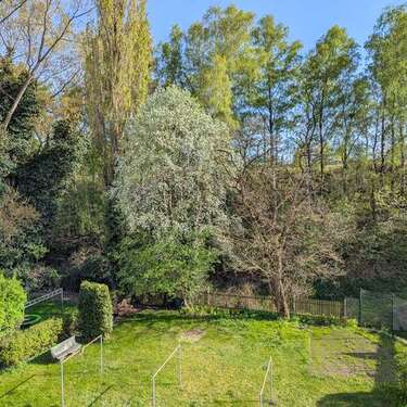 Foto - Wohnung zum Mieten in Freiberg 397,00 € 49.6 m²