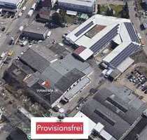 Halle in Baden-Württemberg - Mannheim 2.300,00 € 571 m²