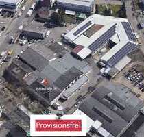 Halle in Baden-Württemberg - Mannheim 2.300,00 € 571 m²