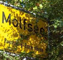 Haus zum Kaufen in Molfsee 395.000,00 € 130 m²