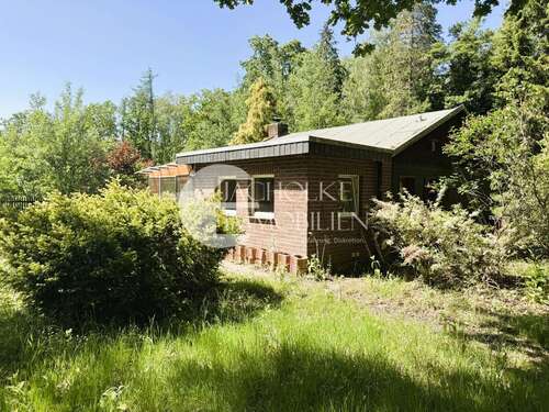 Foto - Haus zum Kaufen in Bad Bodenteich Schafwedel 79.000,00 € 56 m²