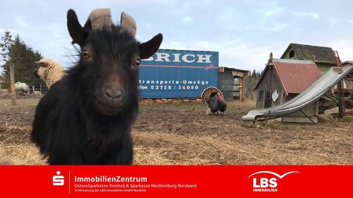 Foto - Haus zum Kaufen in Kröpelin 550.000,00 € 281.07 m²