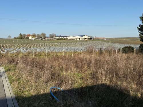 Foto - Grundstück zu verkaufen in Impflingen 210.000,00 € 397 m²