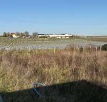 Grundstück zu verkaufen in Impflingen 210.000,00 € 397 m²