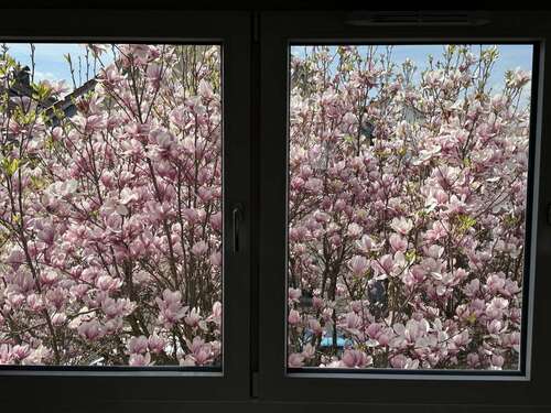 Foto - Wohnung zum Mieten in Wiesbaden 1.701,00 € 126 m²