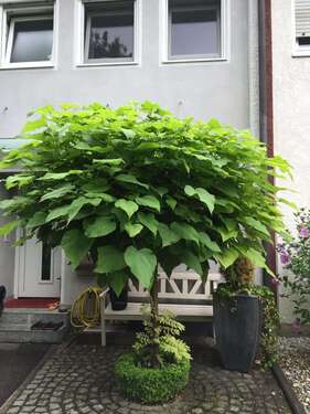 Foto - Haus zum Kaufen in Erding 789.000,00 € 157 m²