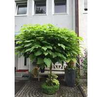 Haus zum Kaufen in Erding 789.000,00 € 157 m²