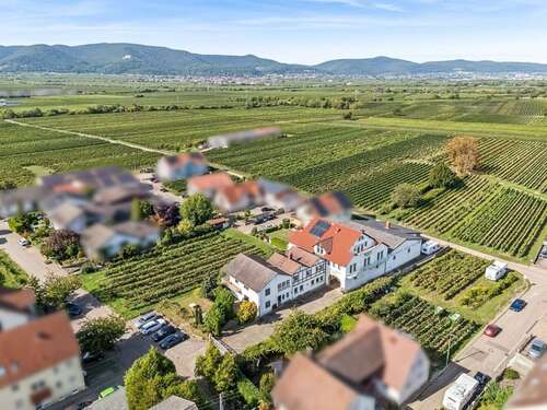 Foto - Haus zum Kaufen in Kirrweiler 999.000,00 € 686 m²