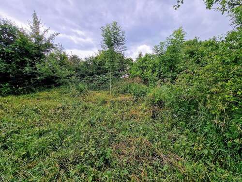 Foto - Grundstück zu verkaufen in Landsberg 110.000,00 € 2418 m²