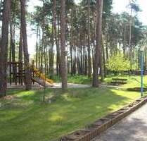 Wohnung zum Mieten in Dessau-Roßlau 335,00 € 47 m²