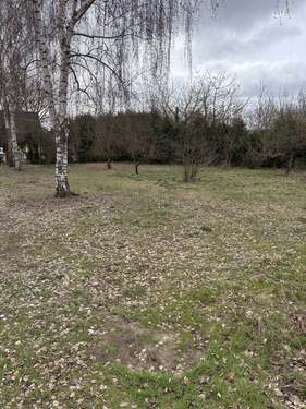 Foto - Grundstück zu verkaufen in Lübben 162.500,00 € 1300 m²