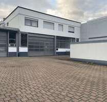 Halle in Lörrach 3.000,00 € 315 m²