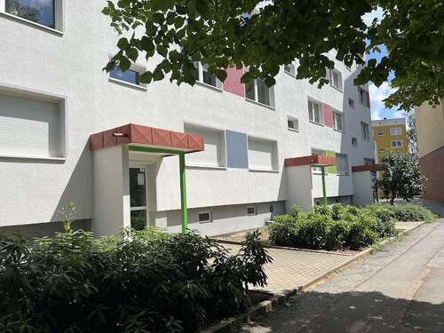 Foto - Wohnung zum Mieten in Chemnitz 250,00 € 40.75 m²