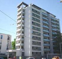 Wohnung zum Mieten in Dresden 500,00 € 39.6 m²