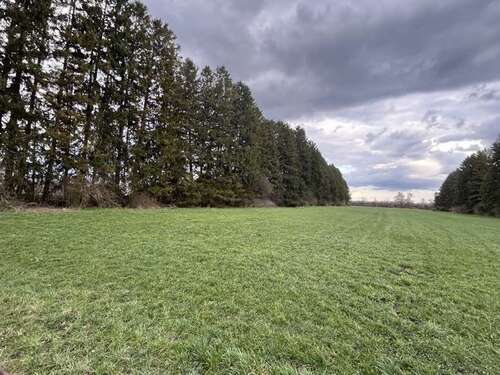 Foto - Grundstück zu verkaufen in Unterschleißheim 474.990,00 € 750 m²