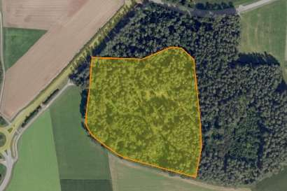 Foto - Grundstück in Dürrwangen 75.000,00 € 31820 m²